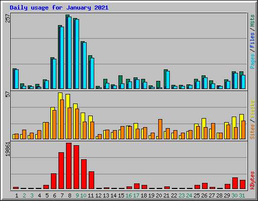 Daily usage for January 2021