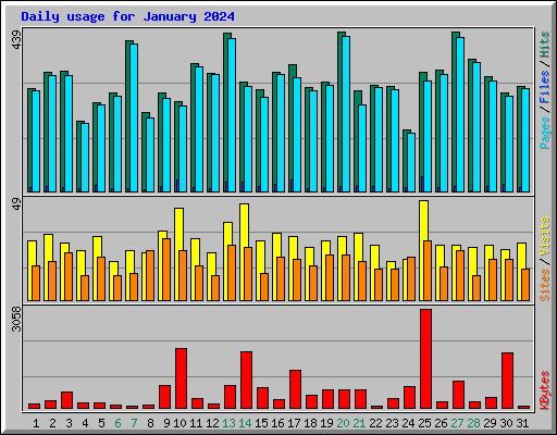 Daily usage for January 2024