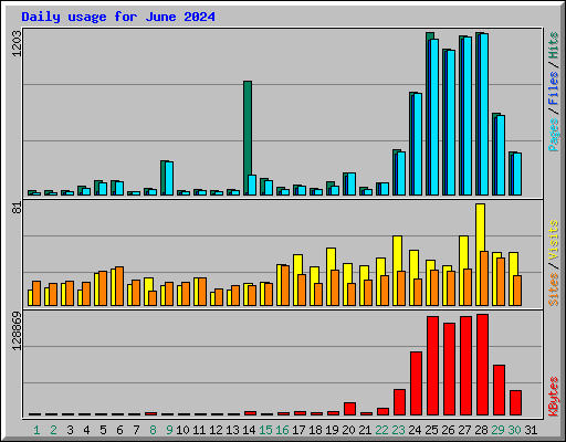 Daily usage for June 2024