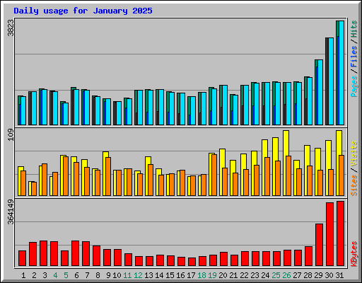 Daily usage for January 2025