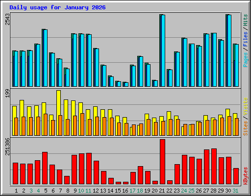 Daily usage for January 2026