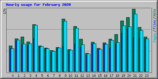 Hourly usage for February 2020