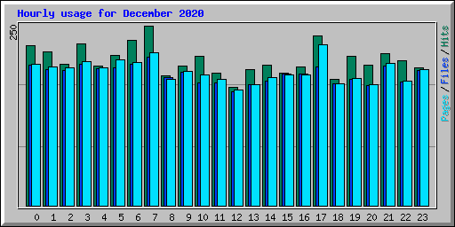 Hourly usage for December 2020