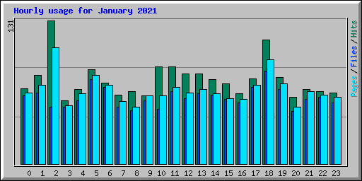 Hourly usage for January 2021