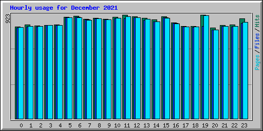 Hourly usage for December 2021
