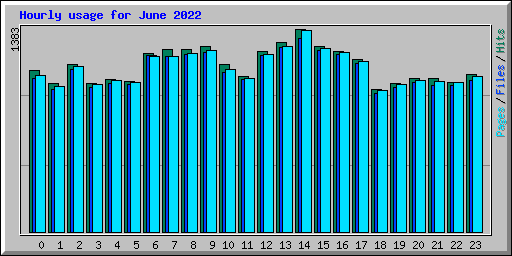 Hourly usage for June 2022