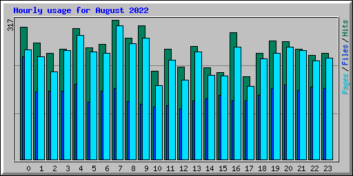 Hourly usage for August 2022