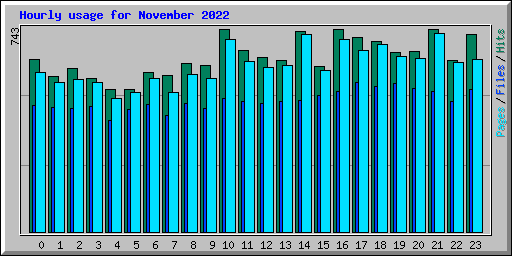 Hourly usage for November 2022