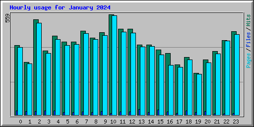Hourly usage for January 2024