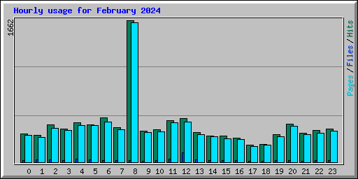 Hourly usage for February 2024