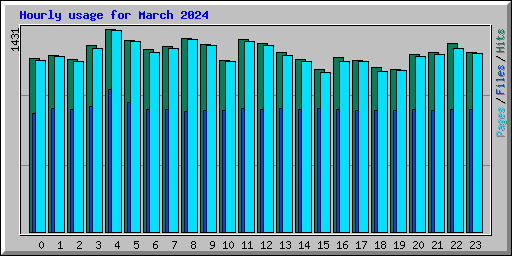 Hourly usage for March 2024