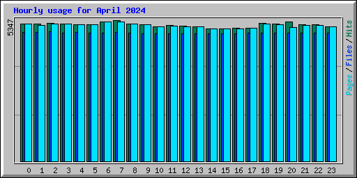 Hourly usage for April 2024