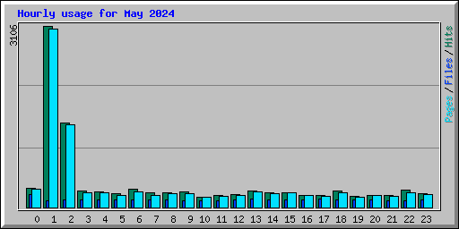 Hourly usage for May 2024