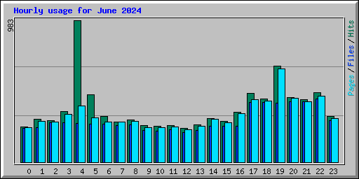 Hourly usage for June 2024