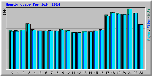 Hourly usage for July 2024