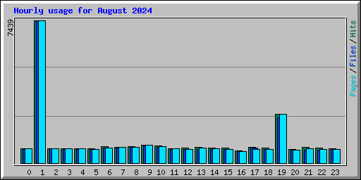 Hourly usage for August 2024