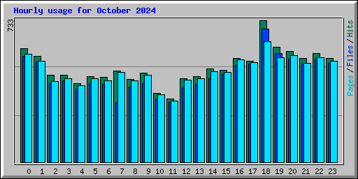 Hourly usage for October 2024