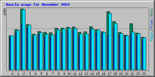 Hourly usage for November 2024