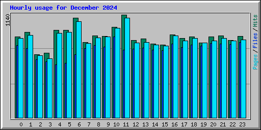 Hourly usage for December 2024