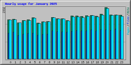 Hourly usage for January 2025