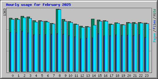 Hourly usage for February 2025
