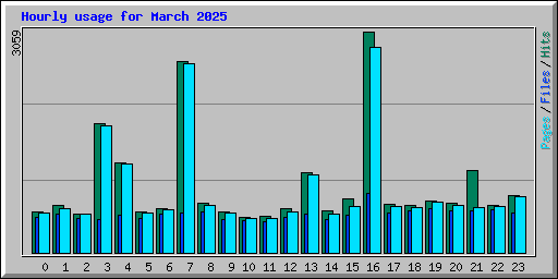 Hourly usage for March 2025