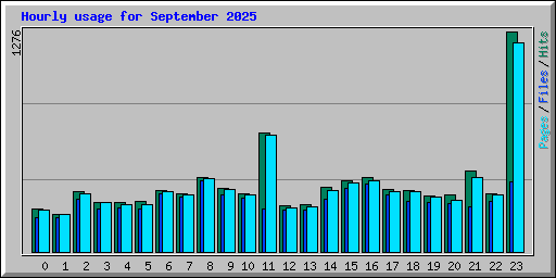 Hourly usage for September 2025