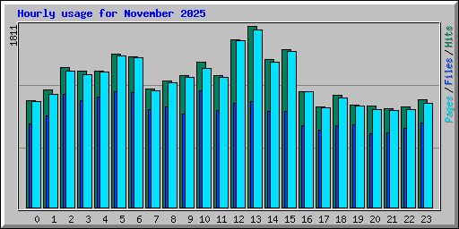 Hourly usage for November 2025