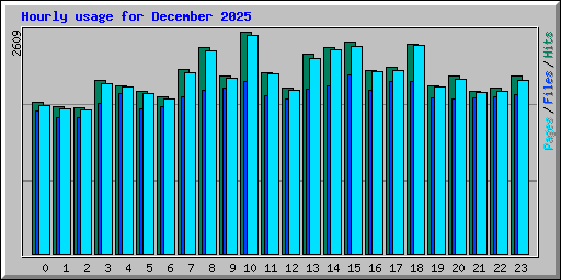 Hourly usage for December 2025