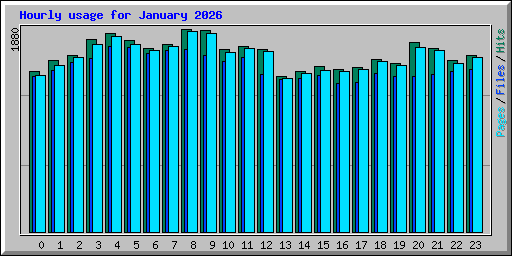 Hourly usage for January 2026