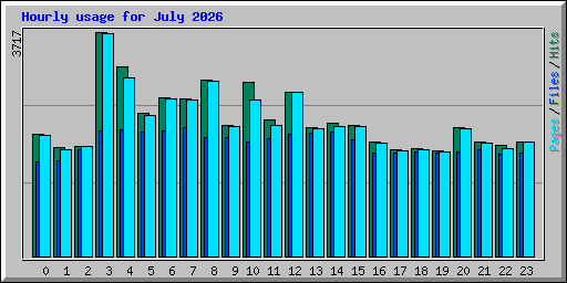 Hourly usage for July 2026